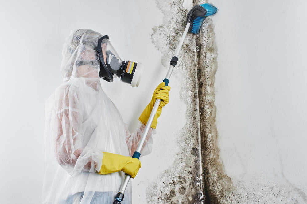 Preventing and remedying mold