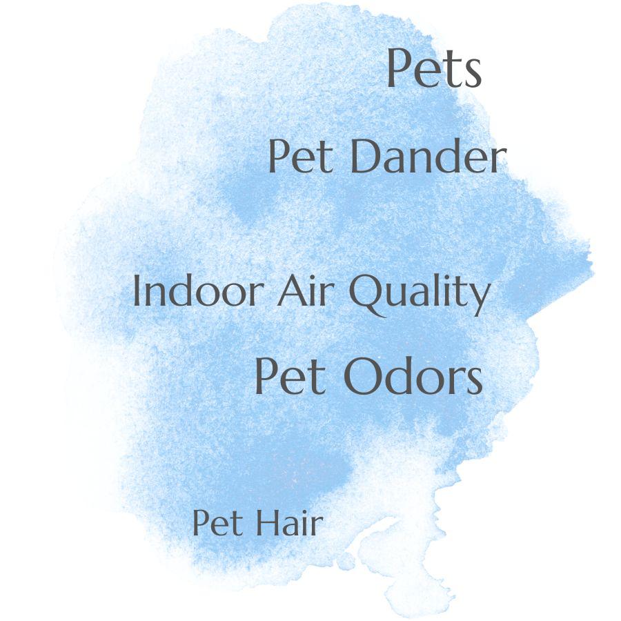 can pets affect indoor air quality