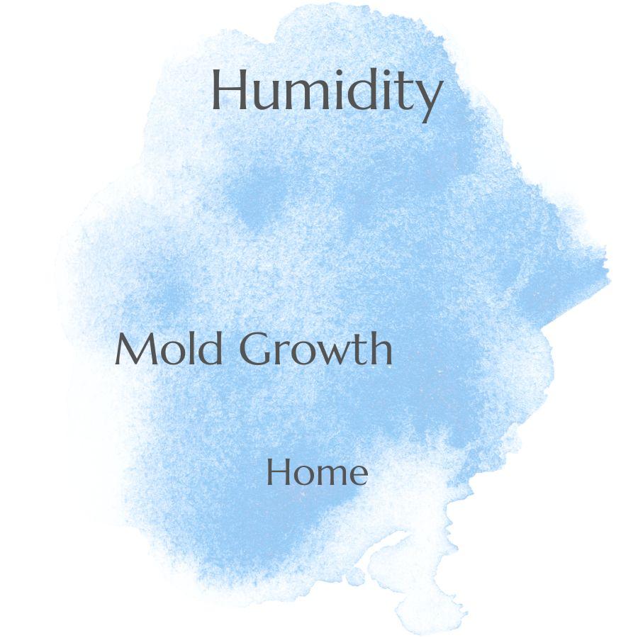 how does humidity affect the growth of mold in the home