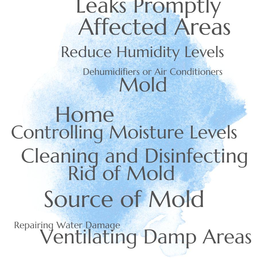 how to get rid of mold in your home