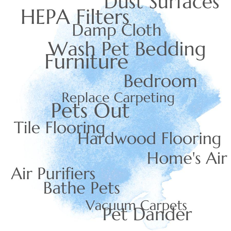 how to reduce the amount of pet dander in the homes air