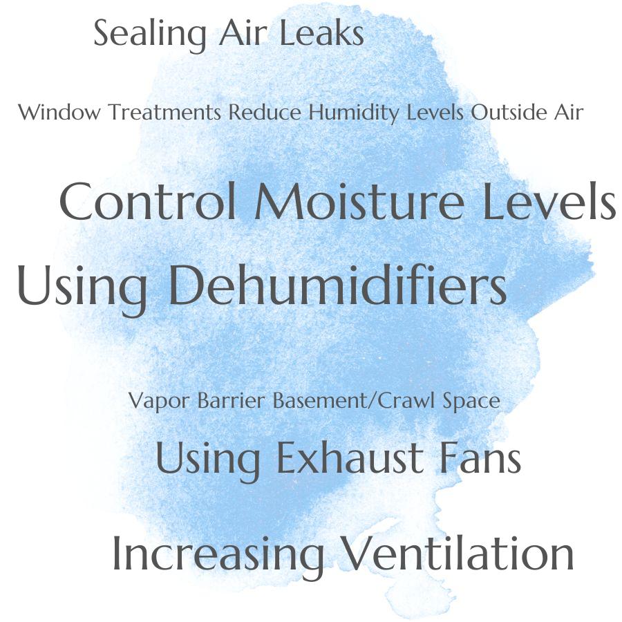the best ways to control moisture levels in the home